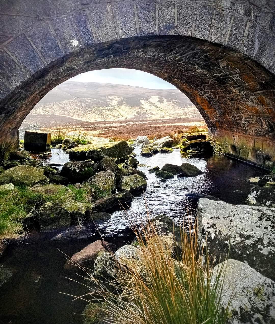 Private Best of Wicklow Tour