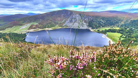 Private Best of Wicklow Tour
