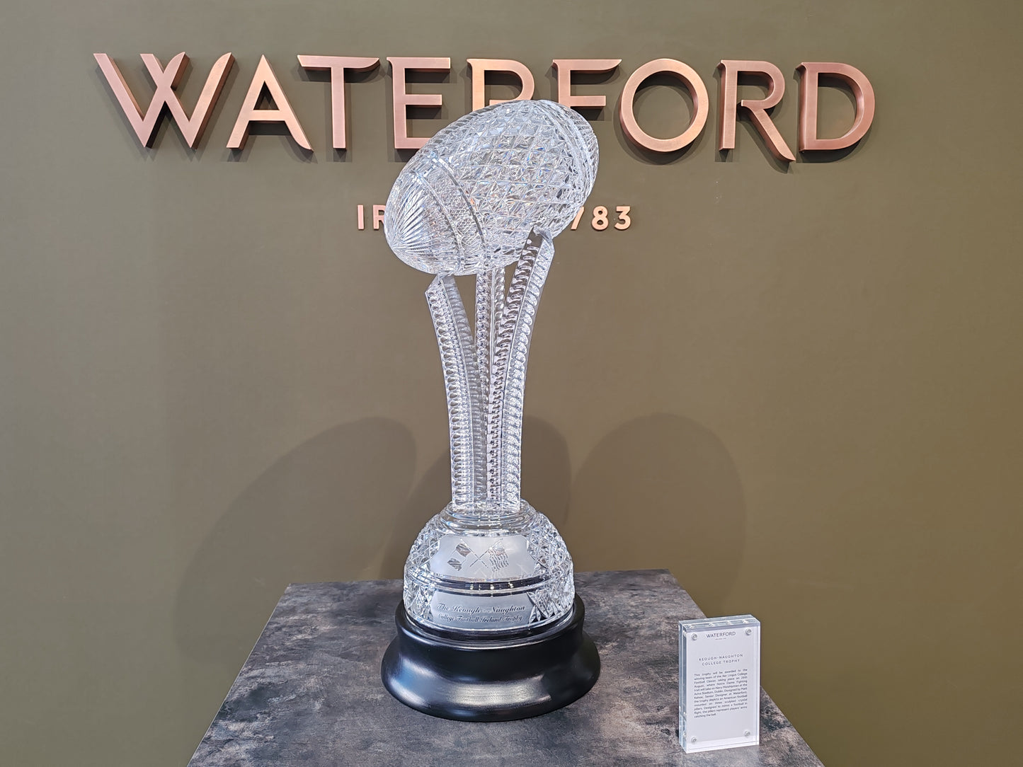 Private Waterford Crystal and Kilkenny City Tour