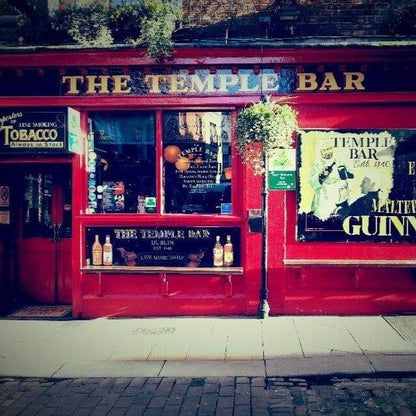 Airport Transfer with Private Tour of Dublin and Howth