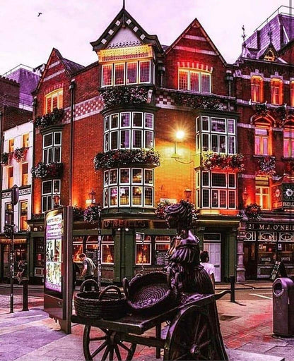 Airport Transfer with Private Tour of Dublin and Howth