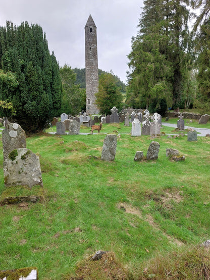 Wicklow Mountains and Kilkenny City Private Tour