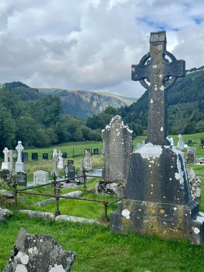 Wicklow Mountains and Kilkenny City Private Tour