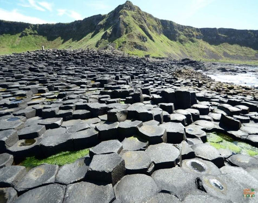 Belfast City, Giants Causeway, Dunluce Castle and Carrick-a-Rede Rope Bridge