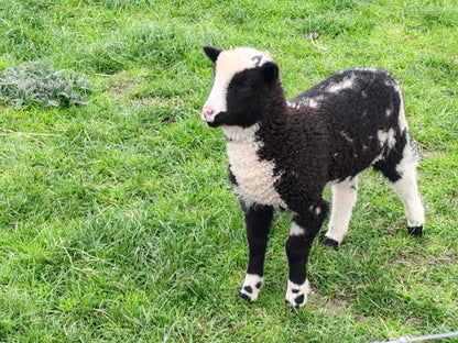 3 Day Tour of the West of Ireland: Cliffs of Moher, Galway and Connemara