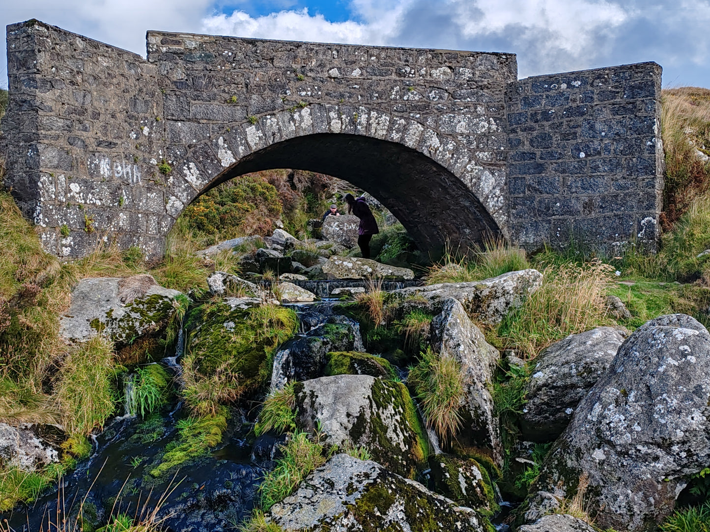Wicklow Mountains and Kilkenny City Private Tour