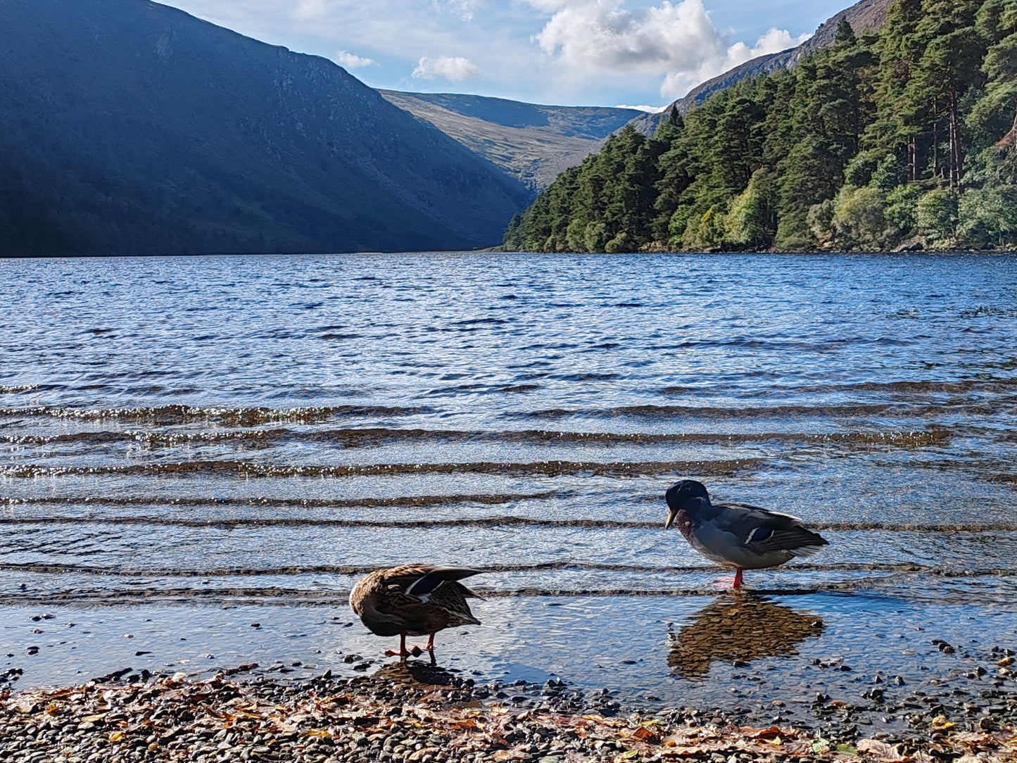 Wicklow Mountains and Kilkenny City Private Tour