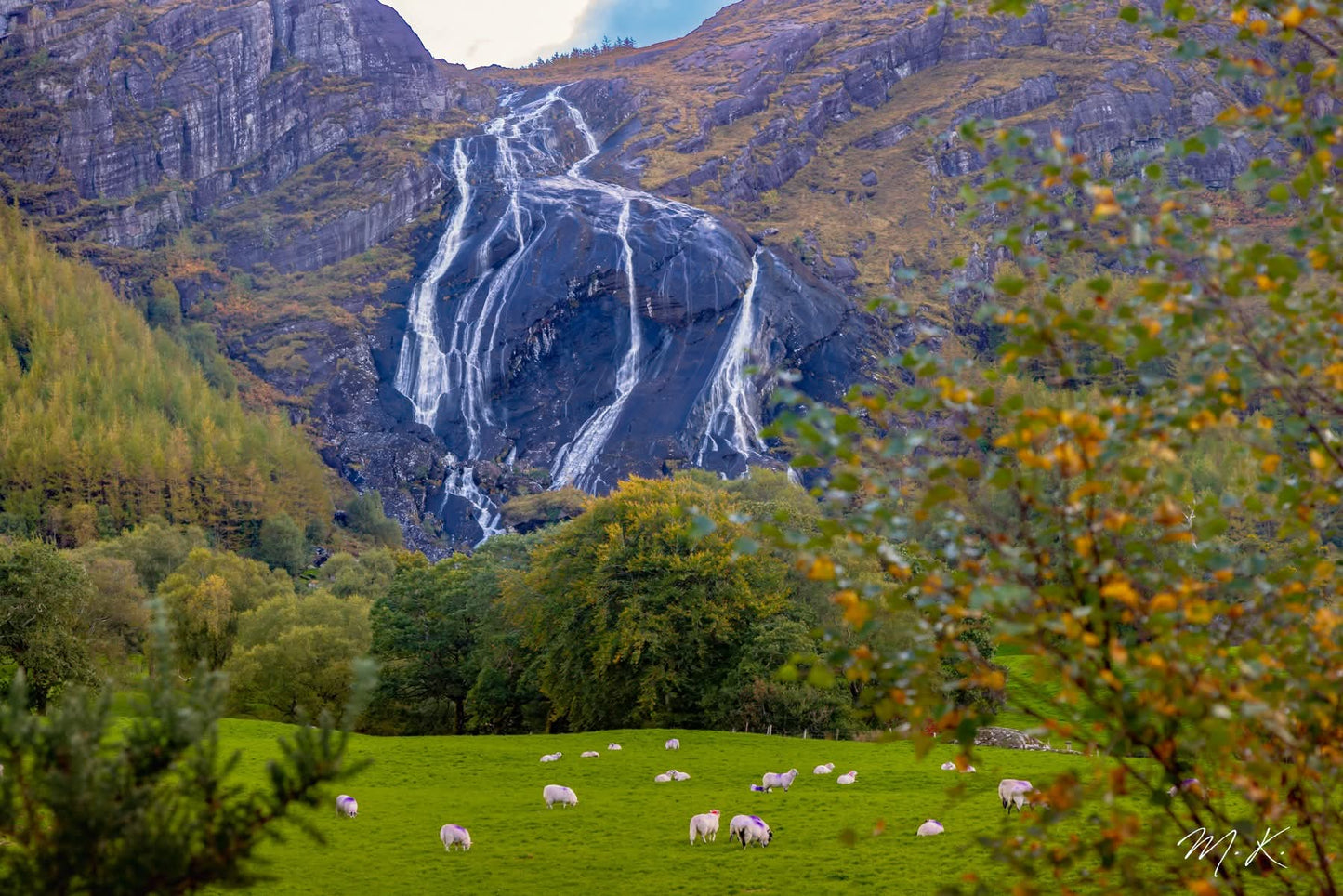 5 Day Tour of Tipperary, Cork and Kerry